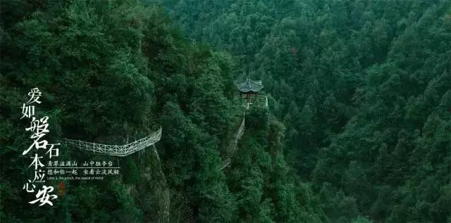 冷知识分享平台——怎么用电压力锅做蛋糕,发掘奇思妙想